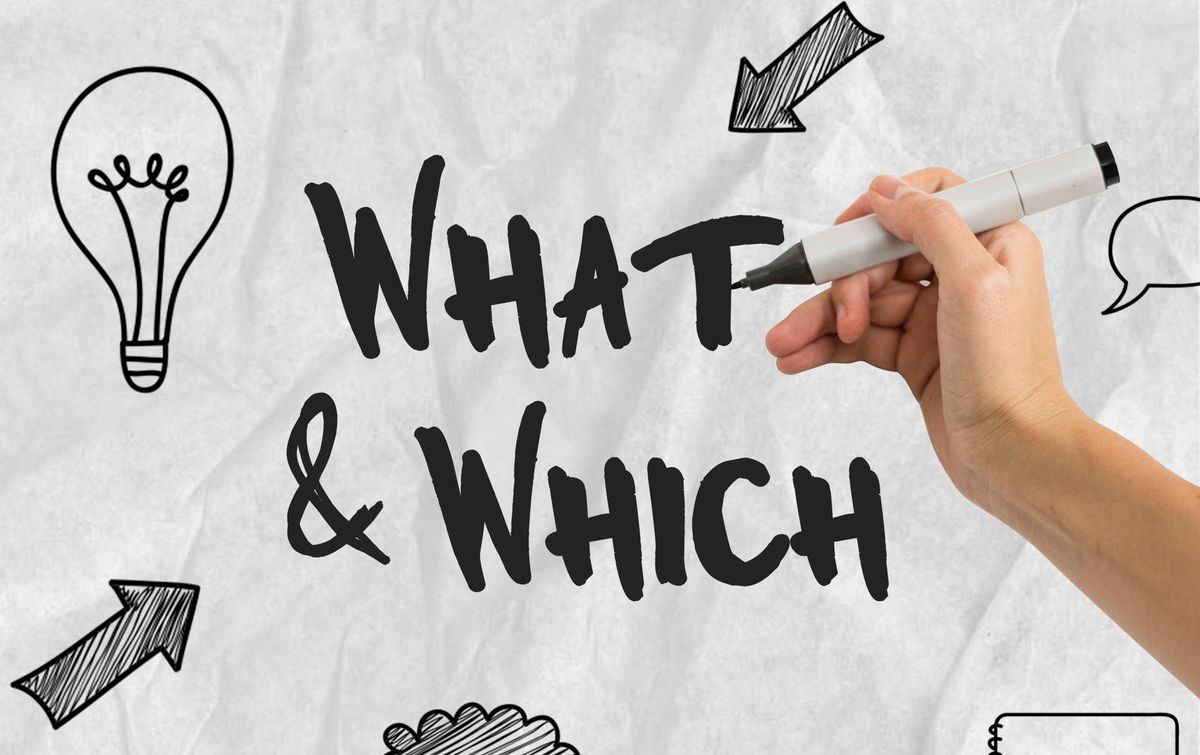 uso de which e what scaled