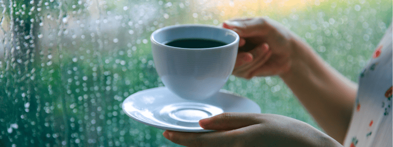 texto em ingles para iniciantes