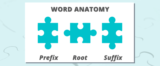 Sufixos comuns em inglês + exercícios