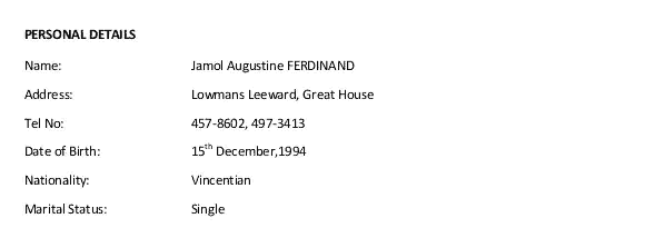 profile ingles curriculo