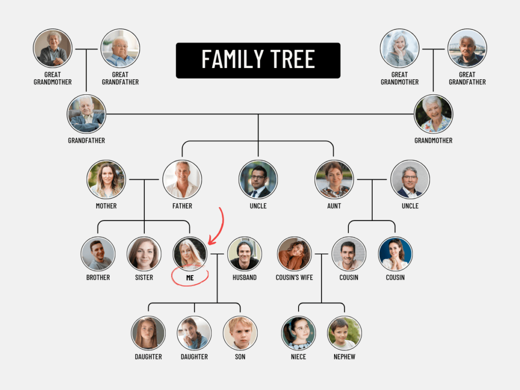 arvore genealogica em ingles family tree